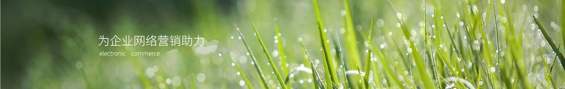 Ž½޹˾